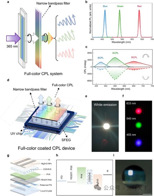 單發(fā)射全彩圓偏振發(fā)光結構與器件的研究進展